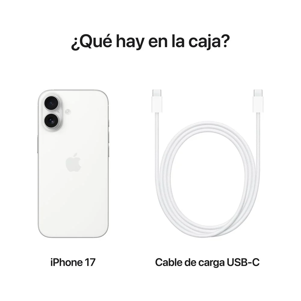 Miniatura 15