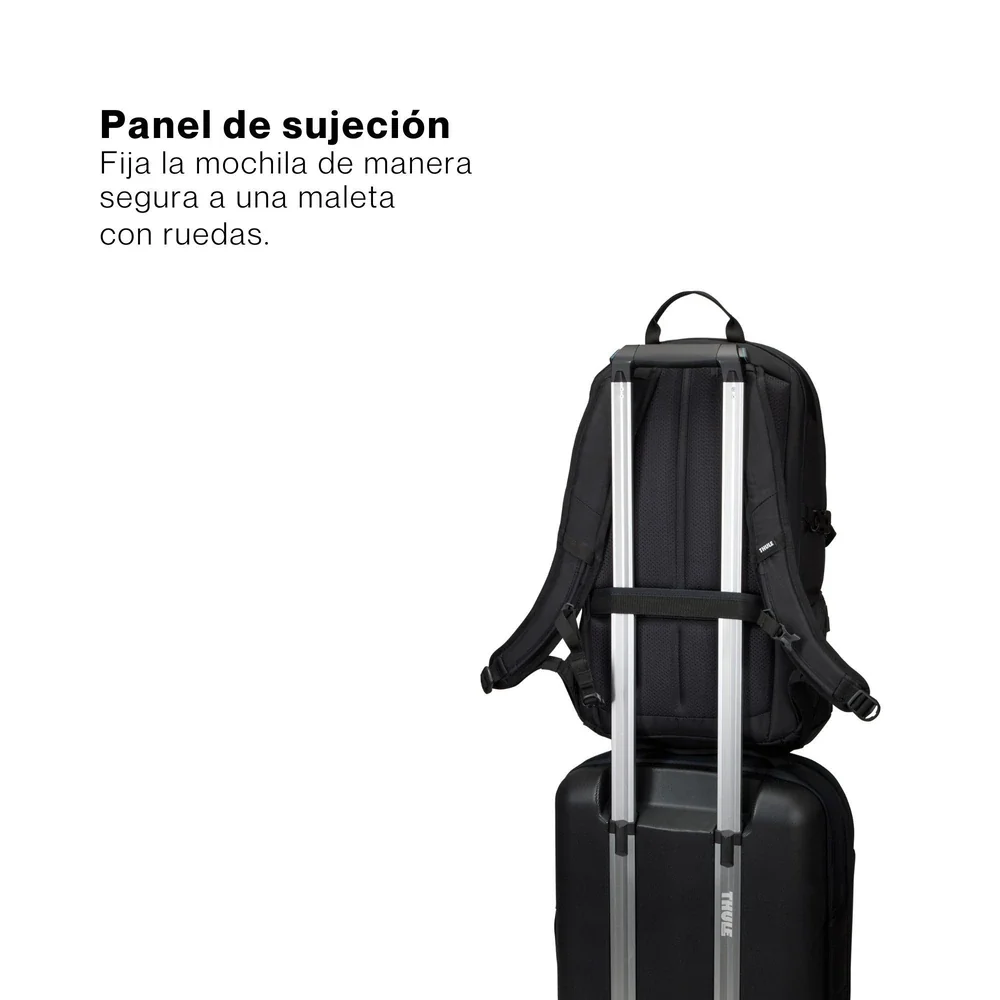 Miniatura 11
