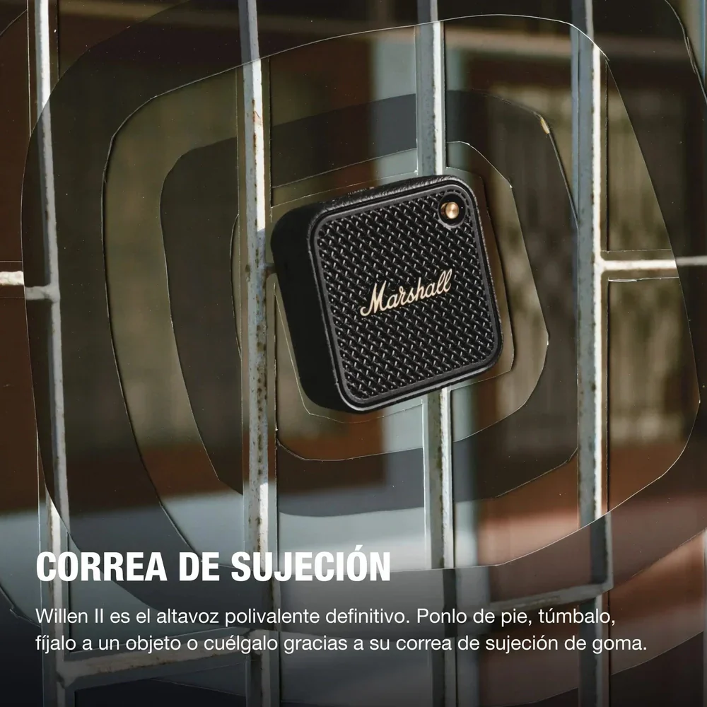 Miniatura 9